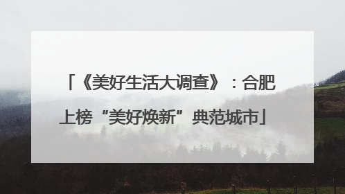 《美好生活大调查》：合肥上榜“美好焕新”典范城市