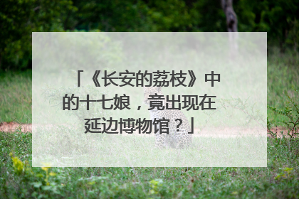 《长安的荔枝》中的十七娘，竟出现在延边博物馆？