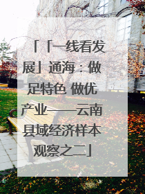 「一线看发展」通海：做足特色 做优产业——云南县域经济样本观察之二