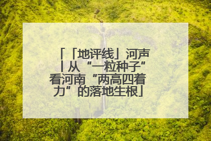 「地评线」河声丨从“一粒种子”看河南“两高四着力”的落地生根