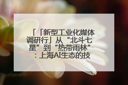 「新型工业化媒体调研行」从“北斗七星”到“热带雨林”：上海AI生态的技术商业共生密码