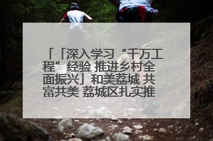 「深入学习“千万工程”经验 推进乡村全面振兴」和美荔城 共富共美 荔城区扎实推进乡村振兴工作