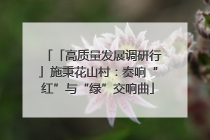 「高质量发展调研行」施秉花山村：奏响“红”与“绿”交响曲