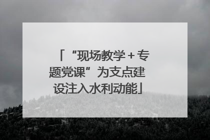 “现场教学＋专题党课”为支点建设注入水利动能