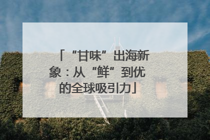 “甘味”出海新象：从“鲜”到优的全球吸引力