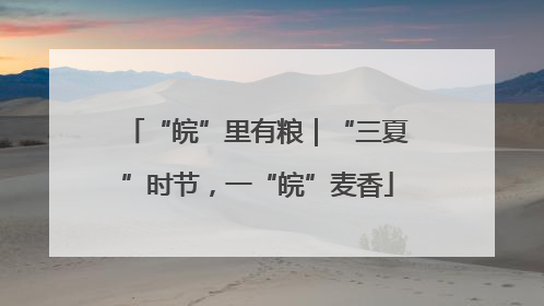 “皖”里有粮｜“三夏”时节，一“皖”麦香