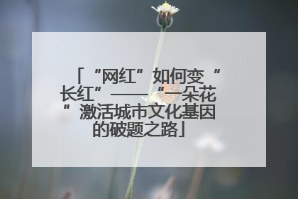 “网红”如何变“长红”——“一朵花”激活城市文化基因的破题之路