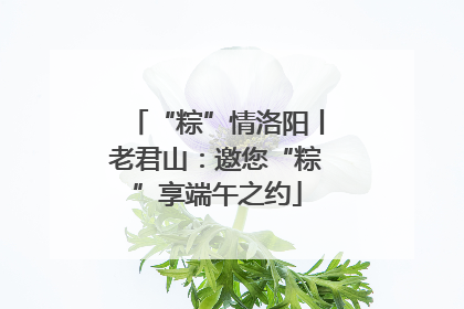 “粽”情洛阳丨老君山：邀您“粽”享端午之约