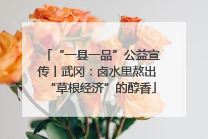 “一县一品”公益宣传丨武冈：卤水里熬出“草根经济”的醇香