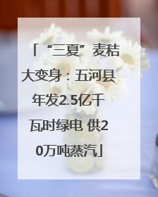 “三夏”麦秸大变身：五河县年发2.5亿千瓦时绿电 供20万吨蒸汽