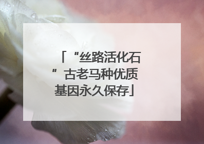 “丝路活化石”古老马种优质基因永久保存