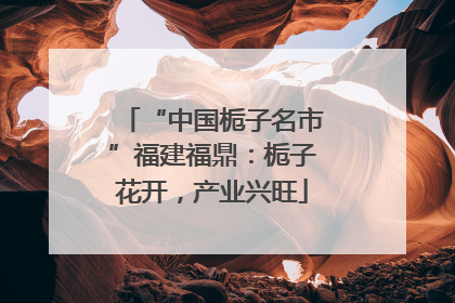 “中国栀子名市”福建福鼎：栀子花开，产业兴旺