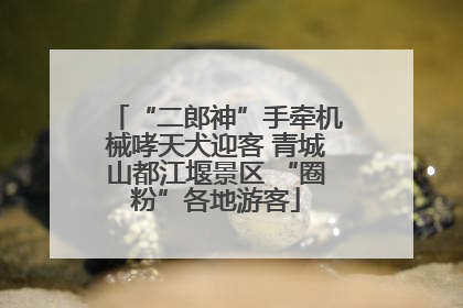 “二郎神”手牵机械哮天犬迎客 青城山都江堰景区 “圈粉”各地游客
