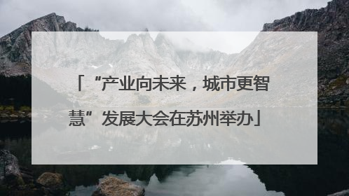 “产业向未来，城市更智慧”发展大会在苏州举办