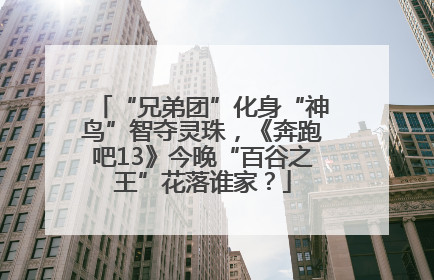 “兄弟团”化身“神鸟”智夺灵珠，《奔跑吧13》今晚“百谷之王”花落谁家？
