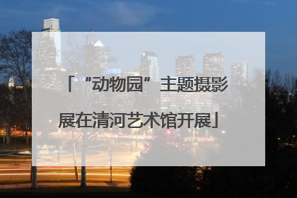 “动物园”主题摄影展在清河艺术馆开展