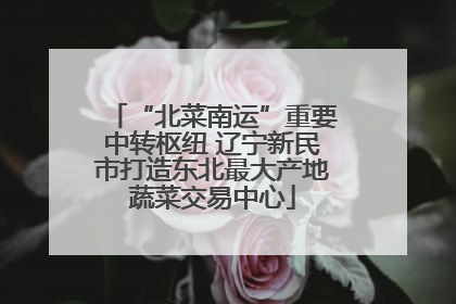“北菜南运”重要中转枢纽 辽宁新民市打造东北最大产地蔬菜交易中心