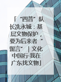“四普”队长冼永城：基层文物保护，要为后来者“留言”｜文化中国行·我在广东找文物