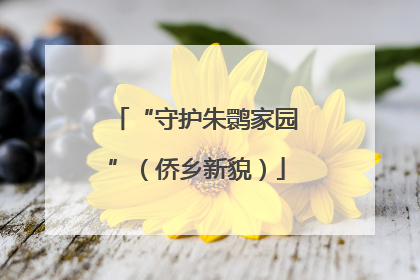 “守护朱鹮家园”（侨乡新貌）