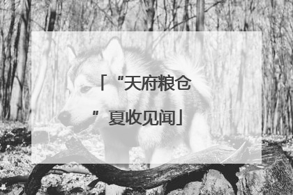 “天府粮仓”夏收见闻