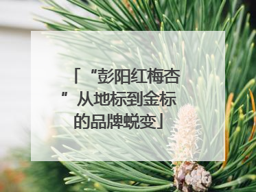 “彭阳红梅杏”从地标到金标的品牌蜕变