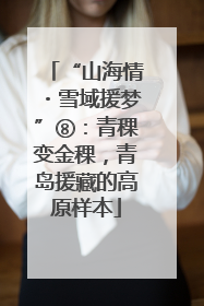“山海情・雪域援梦”⑧：青稞变金稞，青岛援藏的高原样本