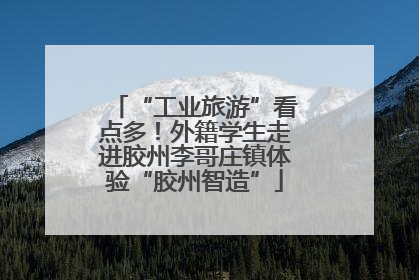 “工业旅游”看点多！外籍学生走进胶州李哥庄镇体验“胶州智造”