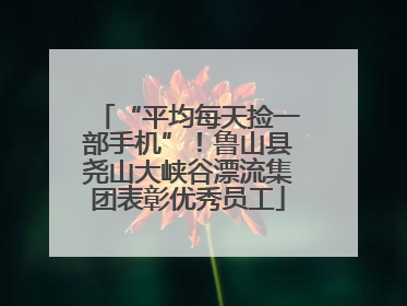 “平均每天捡一部手机”！鲁山县尧山大峡谷漂流集团表彰优秀员工