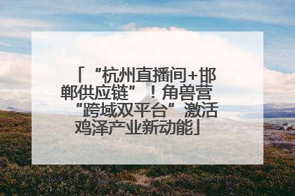 “杭州直播间+邯郸供应链”！角兽营“跨域双平台”激活鸡泽产业新动能