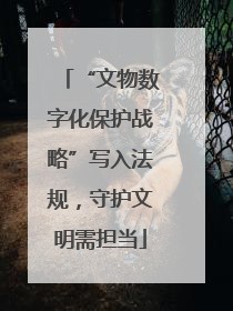 “文物数字化保护战略”写入法规，守护文明需担当