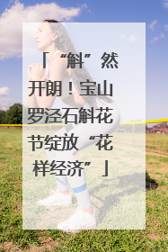 “斛”然开朗！宝山罗泾石斛花节绽放“花样经济”