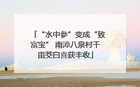 “水中参”变成“致富宝” 南漳八泉村千亩茭白喜获丰收