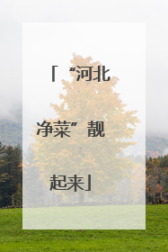 “河北净菜”靓起来