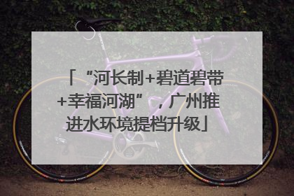 “河长制+碧道碧带+幸福河湖”，广州推进水环境提档升级