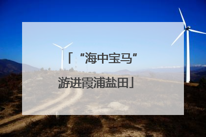 “海中宝马”游进霞浦盐田