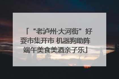 “老泸州·大河街”好耍市集开市 机器狗助阵端午美食美酒亲子乐