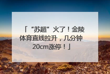 “苏超”火了！金陵体育直线拉升，几分钟20cm涨停！