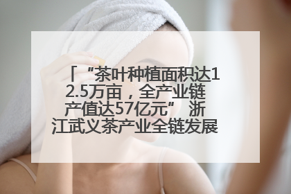“茶叶种植面积达12.5万亩，全产业链产值达57亿元” 浙江武义茶产业全链发展“加速度”