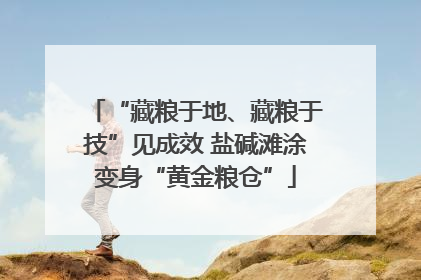 “藏粮于地、藏粮于技”见成效 盐碱滩涂变身“黄金粮仓”