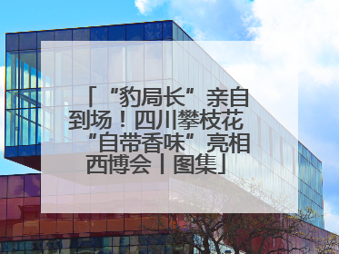 “豹局长”亲自到场！四川攀枝花“自带香味”亮相西博会丨图集