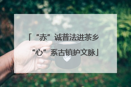 “赤”诚普法进茶乡 “心”系古镇护文脉