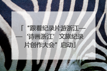 “跟着纪录片游浙江——‘诗画浙江’文旅纪录片创作大会”启动