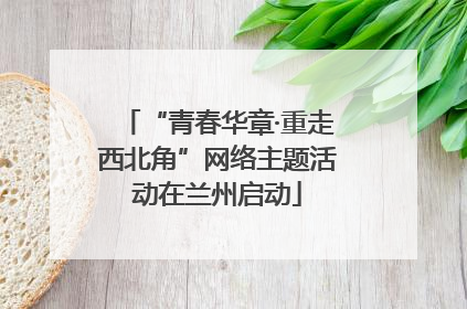 “青春华章·重走西北角”网络主题活动在兰州启动