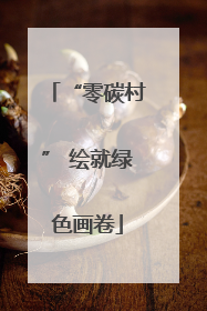 “零碳村” 绘就绿色画卷