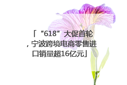 “618”大促首轮，宁波跨境电商零售进口销量超16亿元