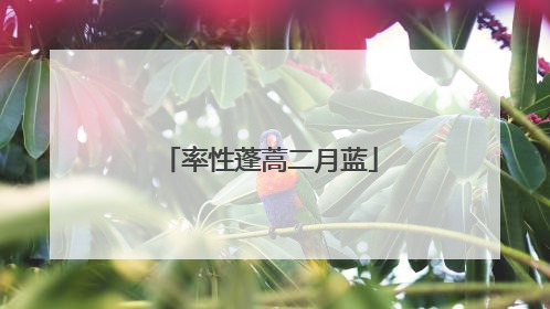 率性蓬蒿二月蓝