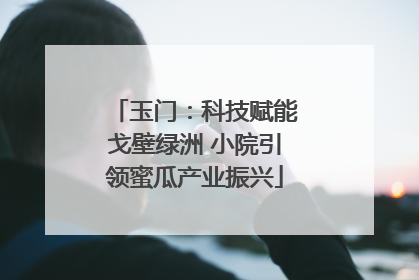 玉门：科技赋能戈壁绿洲 小院引领蜜瓜产业振兴