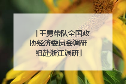 王勇带队全国政协经济委员会调研组赴浙江调研