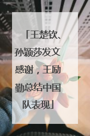 王楚钦、孙颖莎发文感谢，王励勤总结中国队表现