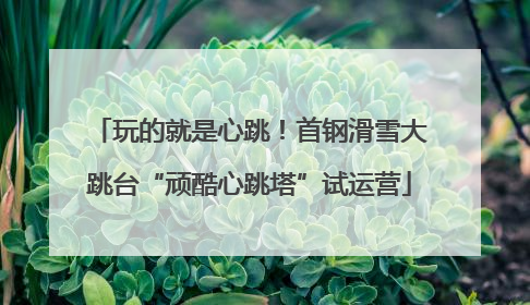 玩的就是心跳！首钢滑雪大跳台“顽酷心跳塔”试运营